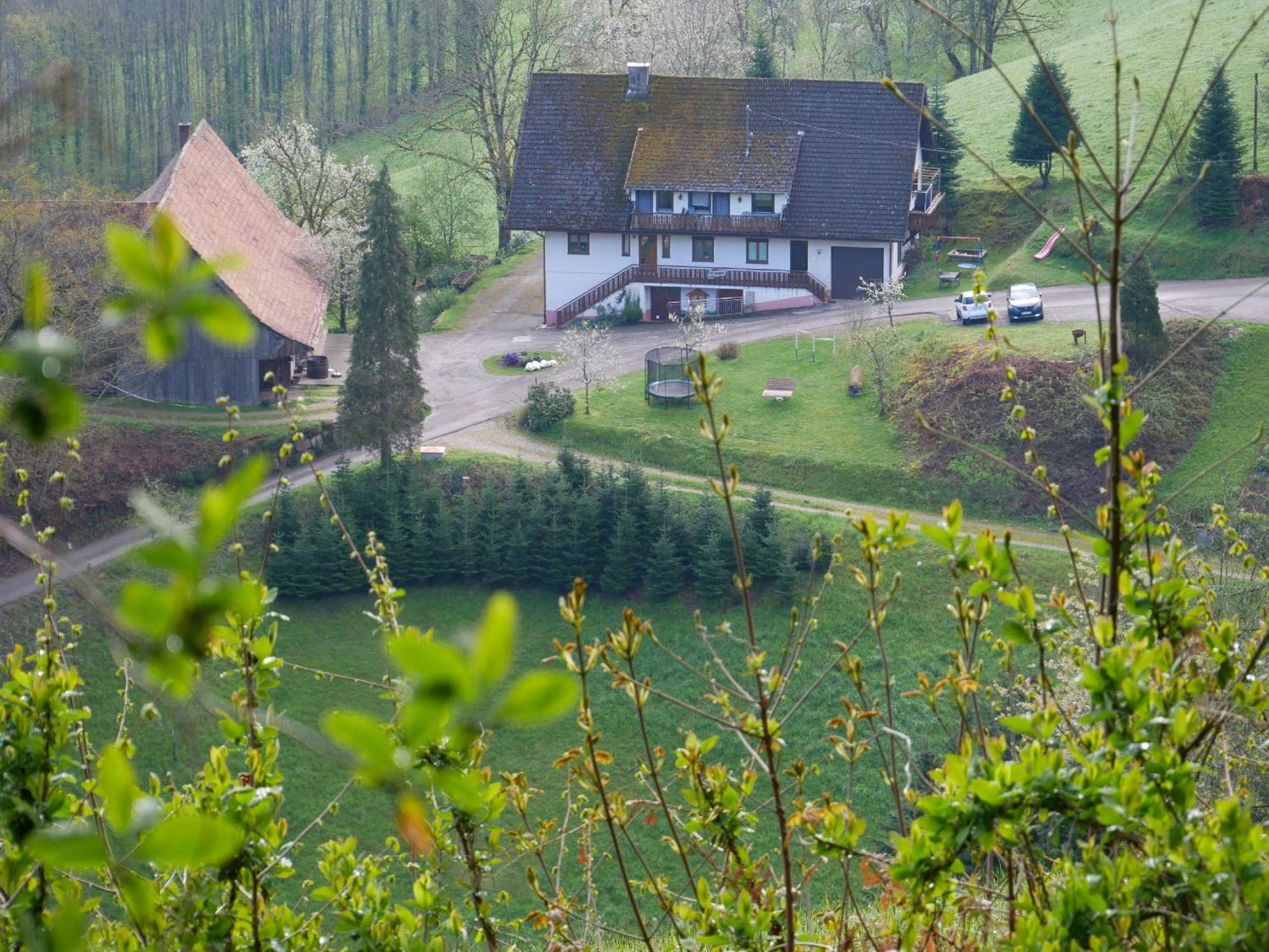 Buehlbauernhof Villa Bad Peterstal-Griesbach Eksteriør billede