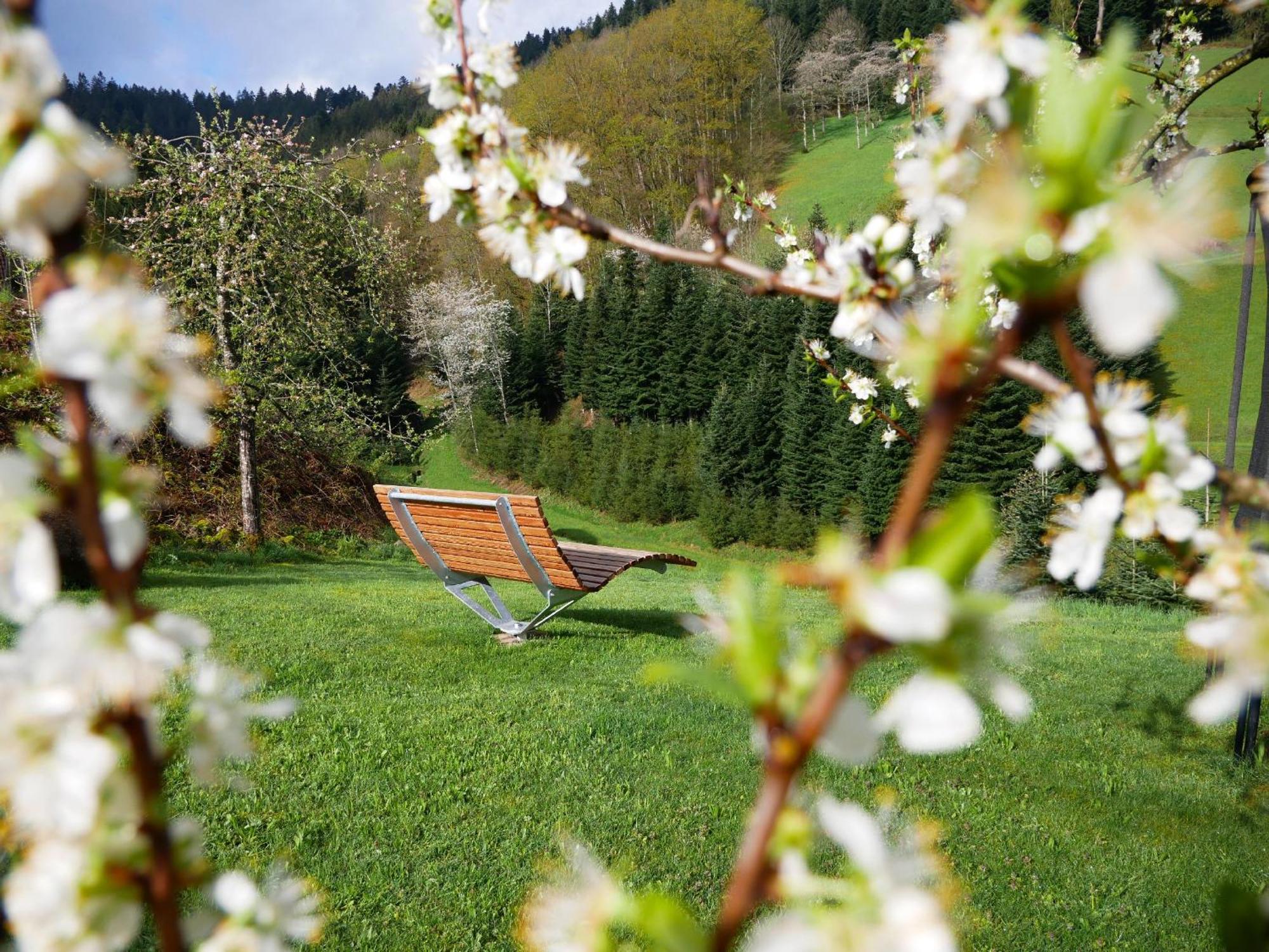 Buehlbauernhof Villa Bad Peterstal-Griesbach Eksteriør billede