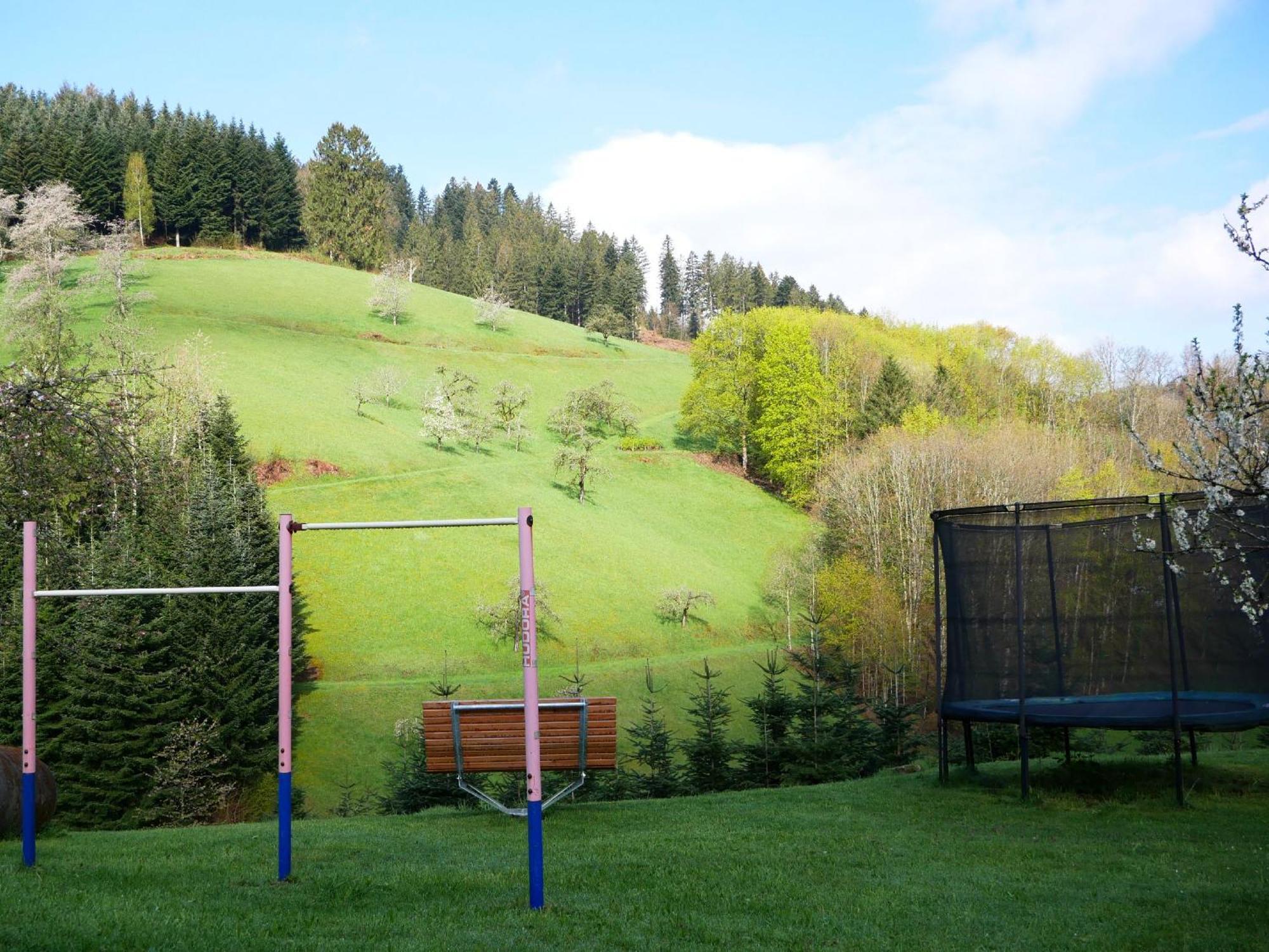 Buehlbauernhof Villa Bad Peterstal-Griesbach Eksteriør billede
